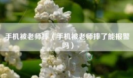 手机被老师摔（手机被老师摔了能报警吗）