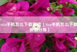 vivo手机怎么下载微信（Vivo手机怎么下载微信分身）