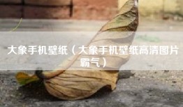 大象手机壁纸（大象手机壁纸高清图片霸气）