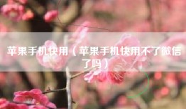 苹果手机快用（苹果手机快用不了微信了吗）