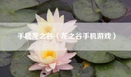 手机龙之谷（龙之谷手机游戏）