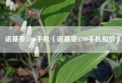 诺基亚5700手机（诺基亚5700手机报价）