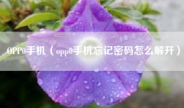 OPP0手机（opp0手机忘记密码怎么解开）