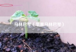 马林巴琴（苹果马林巴琴）