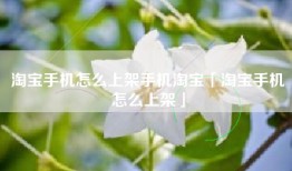 淘宝手机怎么上架手机淘宝「淘宝手机怎么上架」