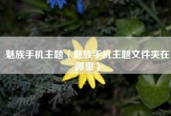 魅族手机主题（魅族手机主题文件夹在哪里）