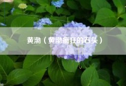 黄渤（黄渤疯狂的石头）