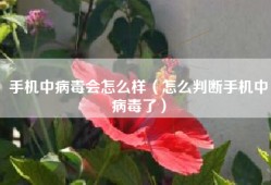 手机中病毒会怎么样（怎么判断手机中病毒了）