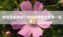 电信手机网络（电信手机网络套餐一览表）