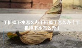 手机掉下水怎么办手机掉了怎么办「手机掉下水怎么办」