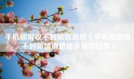 手机锁屏收不到微信消息（手机锁屏收不到微信消息提示音咋回事）