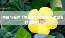 手机的刘海（手机的刘海屏和水滴屏有什么区别）