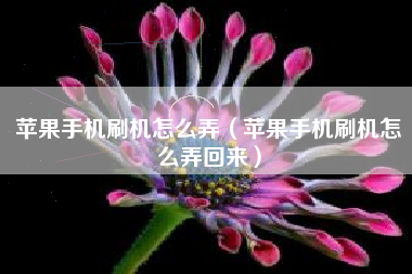 苹果手机刷机怎么弄（苹果手机刷机怎么弄回来）