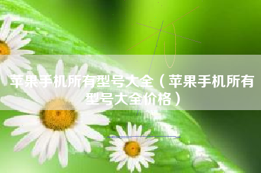 苹果手机所有型号大全（苹果手机所有型号大全价格）