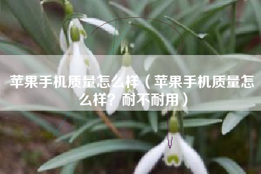 苹果手机质量怎么样（苹果手机质量怎么样？耐不耐用）