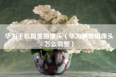 华为手机前置摄像头（华为前置摄像头怎么调整）