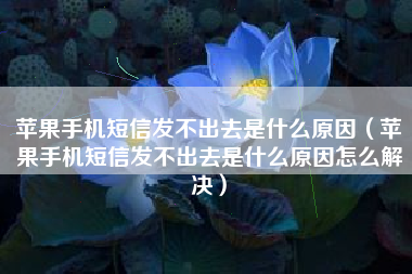 苹果手机短信发不出去是什么原因（苹果手机短信发不出去是什么原因怎么解决）