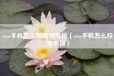 vivo手机怎么投屏到电视（vivo手机怎么投屏电视）