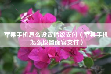 苹果手机怎么设置指纹支付（苹果手机怎么设置面容支付）