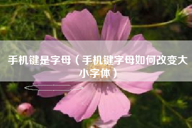 手机键是字母（手机键字母如何改变大小字体）